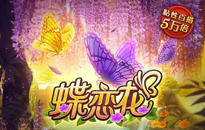 355娱乐app官方版