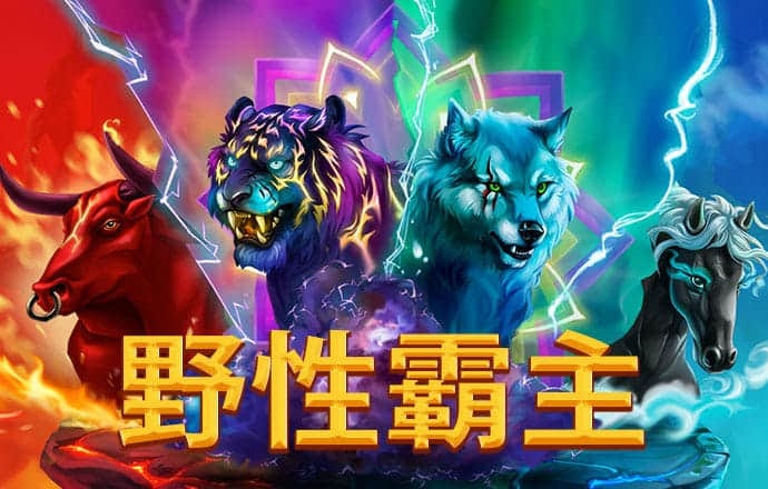 k体育app官网入口下载
